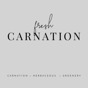 Fresh Carnation