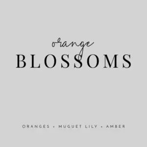 Orange Blossoms