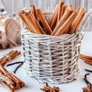 Cinnamon Stick